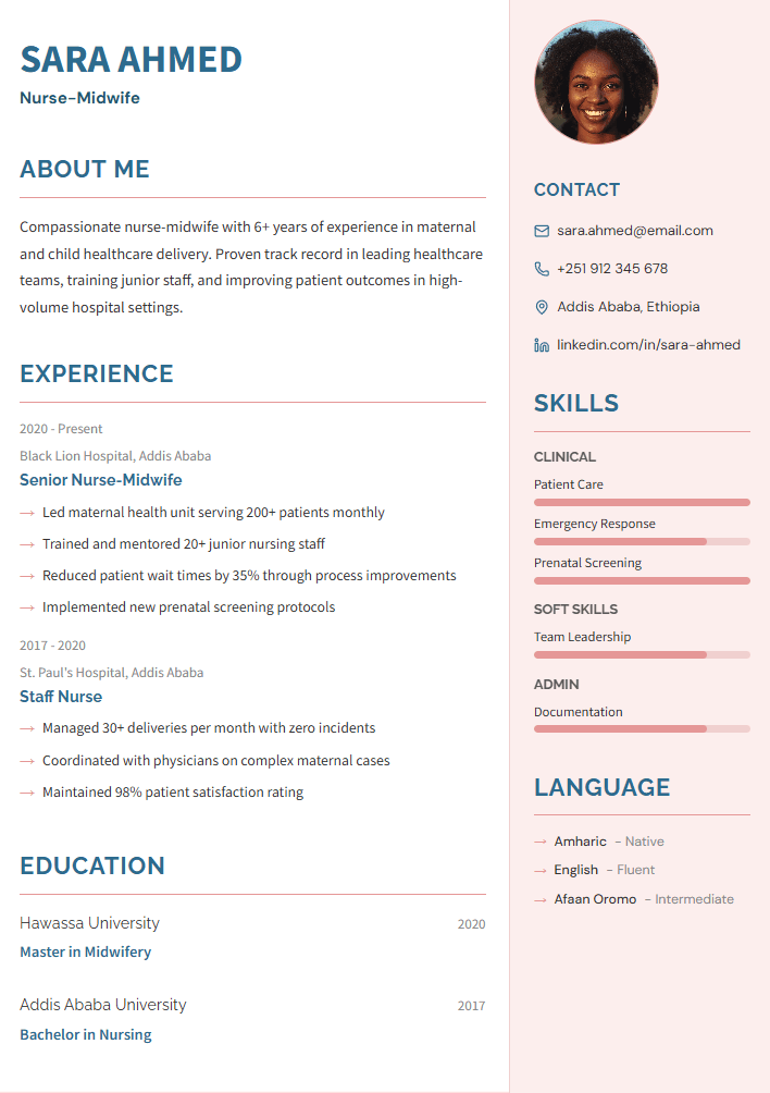 Resume template 9